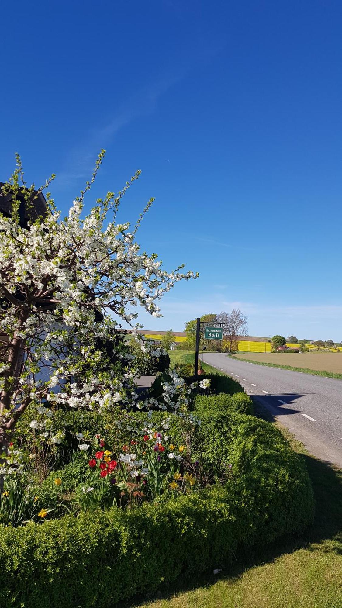 Glimminge Bed & Breakfast Simrishamn Luaran gambar