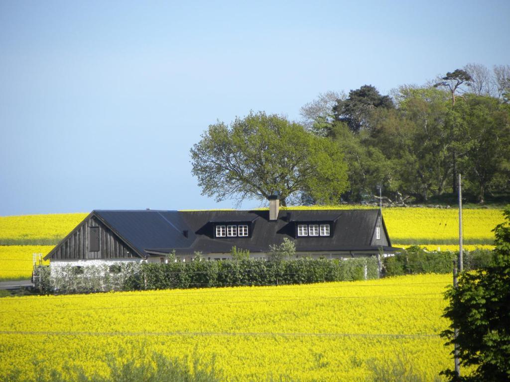 Glimminge Bed & Breakfast Simrishamn Luaran gambar