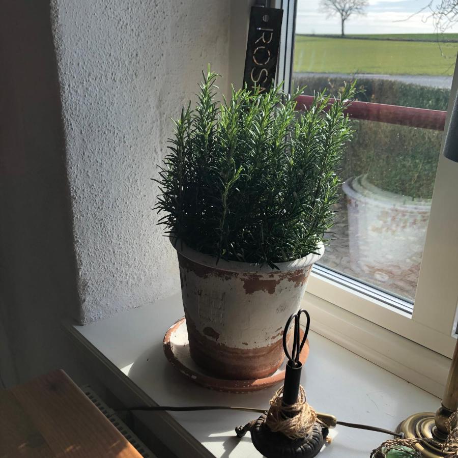 Glimminge Bed & Breakfast Simrishamn Luaran gambar